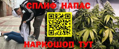 PSILOCYBIN Севастополь